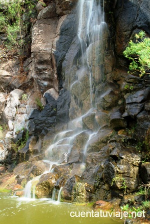 Jardín Botánico Viera y Clavijo. Gran Canaria.